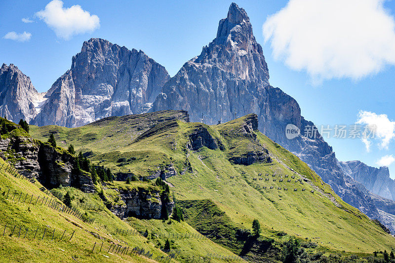 意大利Dolomites的Passo Rolle夏季景观